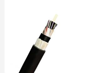 China GYFTY63 48 Core Outdoor Armored Fiber Optic Cable Longitudinal Steel Tape factory