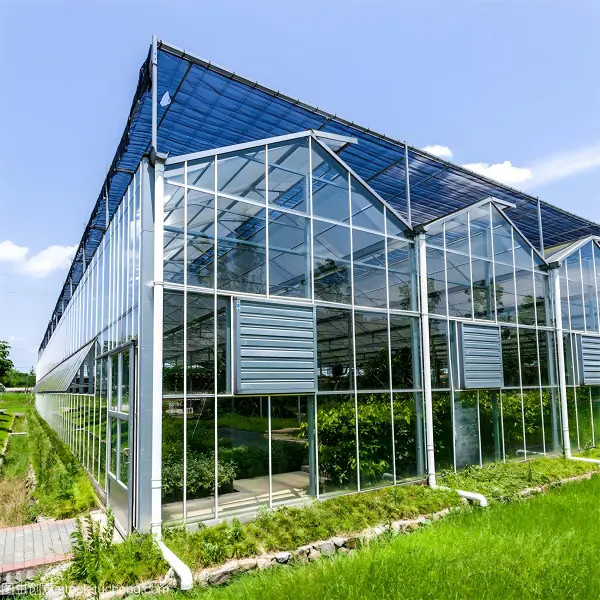 Custom - designed Venlo Multi - Span Glass Greenhouse for Strawberry Cultivation