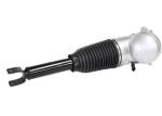 Rear Bentley Air Suspension Strut 3D0616001J 3D0616002J For Continental