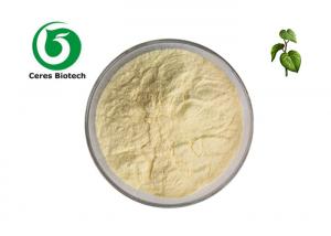 China Herbal Extract 30% 70% Kavalactones Natural Kava Root Extract Powder factory