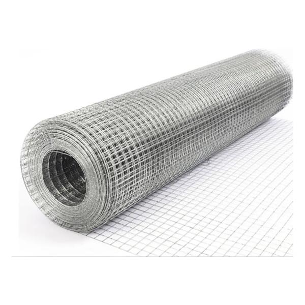Manufacturers Farm Fence Galvanized Bird Cage Welded Wire Mesh Roll For Fence