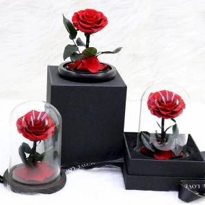 China Wholesale long stem preserved roses in glass dome rose gift Real Preserved Rose In Glass That Last 3 Years factory