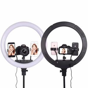 China 8&quot; 10&quot; 12&quot; Photography Studio Kit Ring Lights Led Ringlights 1200 LM factory