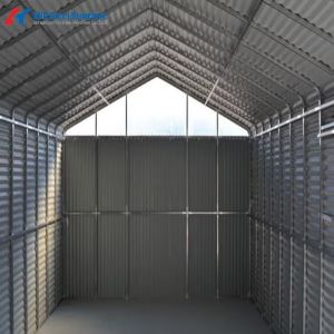 Professional Steel Shed / Storage / Steel Structure / Construction Building with