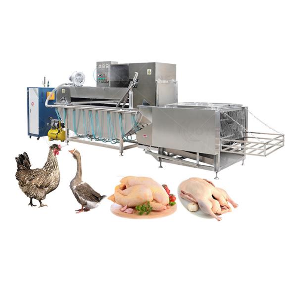 Food Shop Automatic Halal Poultry Chicken Slaughtering Machine for Quail