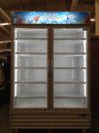 Upright Commercial Display Freezer Beverage Cooler