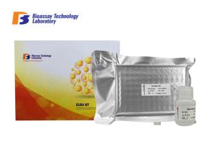 China Laboratory Research Mouse Resistin ELISA Kit 96 Well Plate High Precision factory