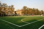 50mm Artificial Green Sports Grass PE Material 16000 Dtex Sports Astro Turf For