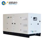 Silent Electric Gas Generator LPG Generator for Sale
