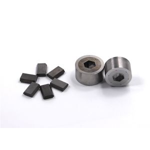 High Precision Polishing Cold Heading Die Tungsten Carbide Hexagonal Die