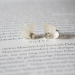 Birthday Gift Flying Butterfly Dry Hydrangea Rhinestone Real Flower Women