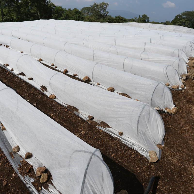 Agricultural Nonwoven Spunbond Frost Blanket Crop Cover Fabric For Cold Weather
