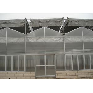 China Customized Poly Tunnel Greenhouse Multi Span Agricultural polycarbonate tunnel greenhouse on sale