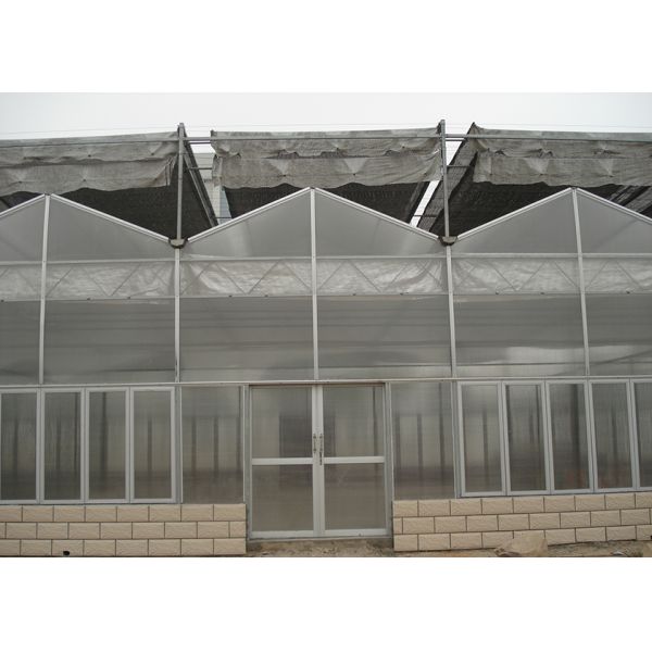 Customized Poly Tunnel Greenhouse Multi Span Agricultural polycarbonate tunnel