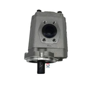China Forklift Spare Parts Hydraulic Pump FD30-11 4D95S 37B-1KB-2020 factory