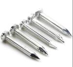 Latest Metal Building Galvanized Steel Concrete Nails 2 Inch