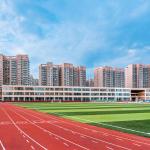 High Strength Synthetic Sports Surfaces Track All-Weather Running Track Surface