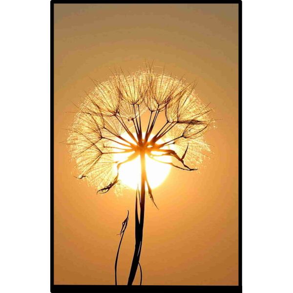 China 800x1280 10.1" Laptop LCD Display IPS 40 Pin TFT Display Mipi Interface factory