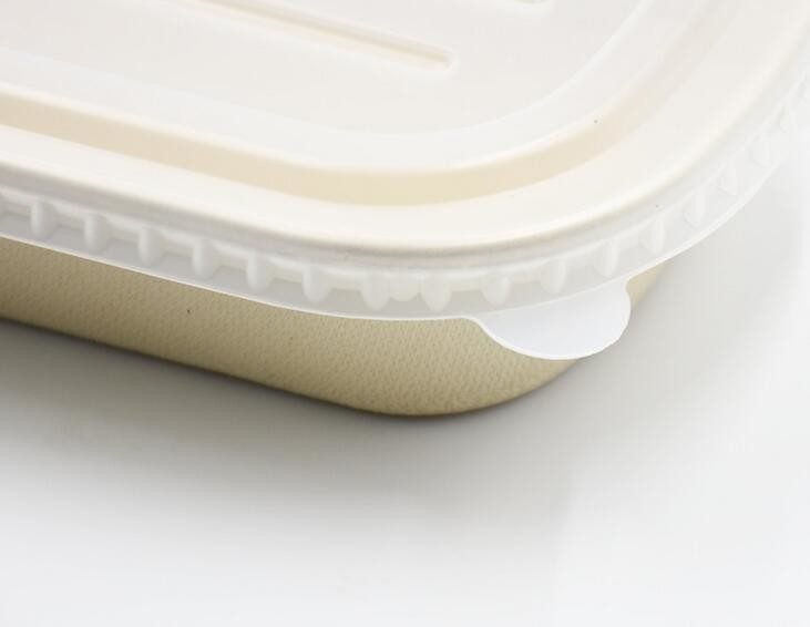 1000ml Biodegradable Straw pulp food container 2 compartments paper food tray with PP lid