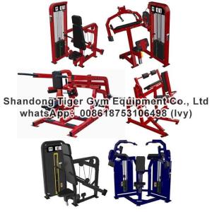 China Gym Fitness Equipment Seated dip / Triceps extension exercise machine factory