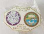 Metal pin, lapel pin, football pin, emblem, enamel badge, printing badge,