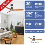 52 Inch Real Wood Blades Copper/Metal/Wood LED Ceiling Fan with Natural Light