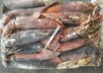 Whole Round Frozen Giant Squid