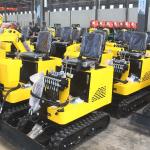OEM Arm Cylinder Excavator Boom Sway Hydraulic Crawler Excavator