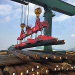 EPM Industrial Lifting Magnets , ISO9001 20t Magnetic Sheet Lifter