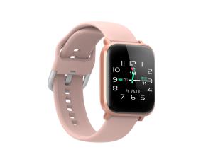 China Nordic 52840 170mAh IP68 Blood Oxygen Detection Smartwatch factory