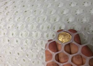 China 10x10mm 300g Plastic Diamond Mesh Netting White Corrosion Resisting factory