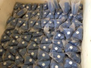 China ANSI y strainer threaded ends factory