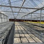 150-200micro Plastic Film Greenhouse Four Seasons With Whole System Flowers