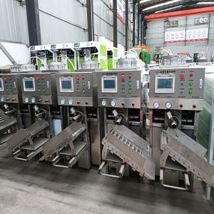 Automatic Quantitative and Efficient Chemical Particle Packaging Single-chamber