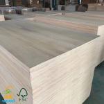 Project Solutions Paulownia Tomentosa Wood Solid Wood Pellets with 3mm-50mm