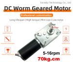 Faradyi Factory Price Double Shaft High Torque 12V 24V Carbon Brush Brushless