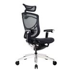 GT IVINO Greenguard Ergonomic Chair Adjustable Swivel Mesh Office Chairs