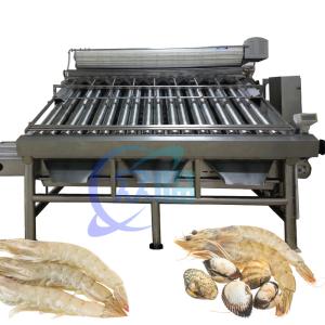 China 380V 50Hz Shrimp Grading Machine Multifunctional For Prawn Sizing factory