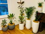 Powder Coated Finish Fiber Clay Planters Fibre Clay Flower Pots