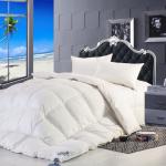 Home TextilesHealthy Feather and Down Duvet Covers