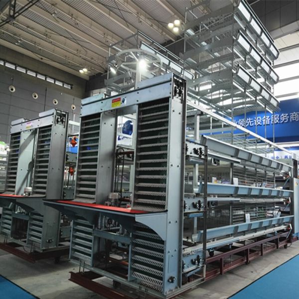 Automatic Egg Collection Hot-Dip Galvanized Battery Chicken Cage with Computerized Control System for Poultry Farming