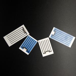 China 1g 2g Ceramic Plate for Air Purifying Ozonizer Corona Discharge Long Life Ozone Plate factory