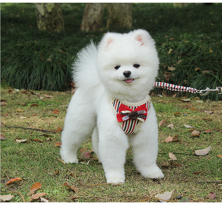 Wholesales Adjustable No-pull Pet Saddle Vest Pet product Cheap Dog Dress Pet Accessories Dog Harness And Leash