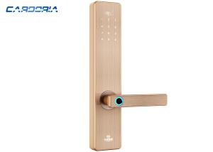 China Silver Gold Bluetooth Fingerprint Door Lock Zinc Alloy Material For Home factory