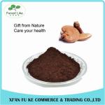 Reishi Mushroom / Lucid Ganoderma Extract Polysaccharides 10% - 60%