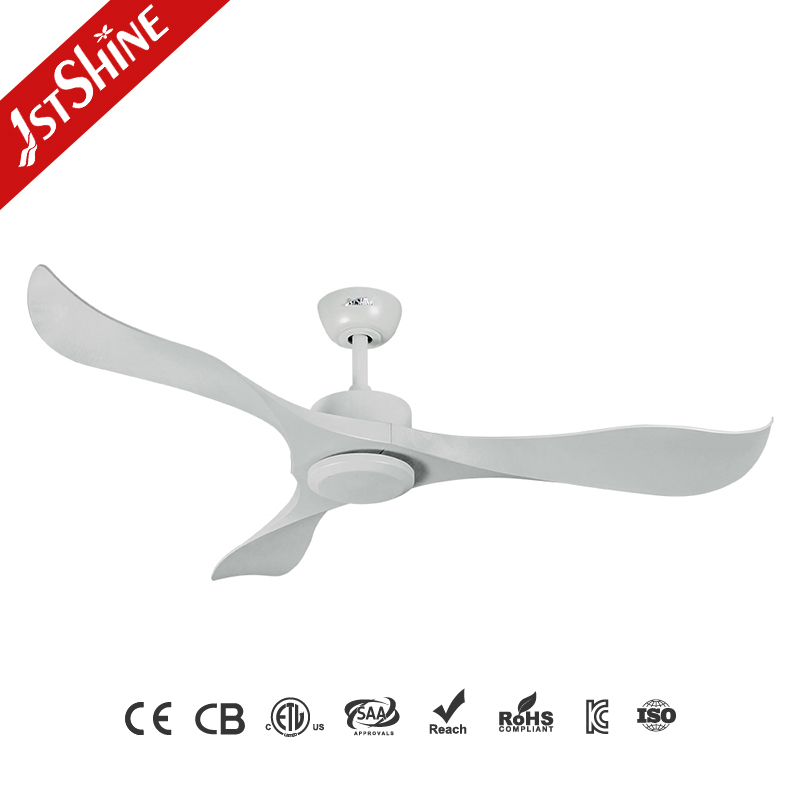 ceiling fan