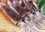 Argentina Squid Dried Salted Squid Bqf 10 Kg Net Weight 100-150 Size