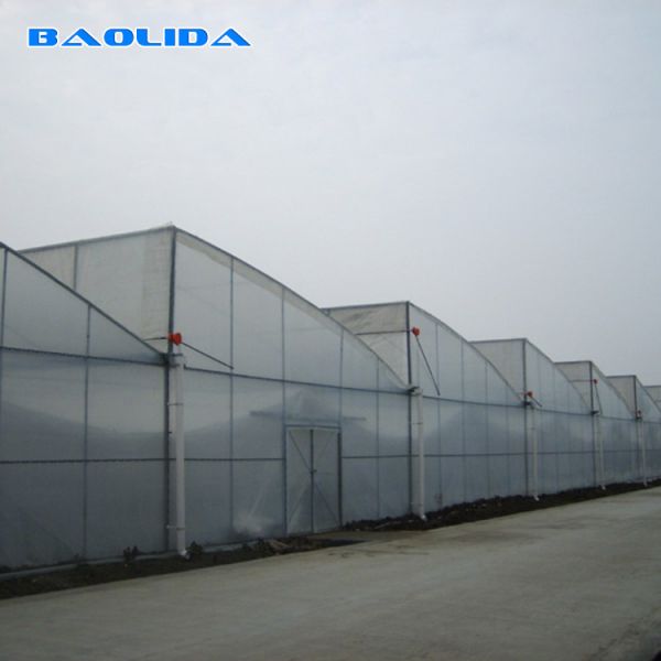 China Vegetable Polyethylene Plastic Sheeting Greenhouse Galvanized Steel Frame factory