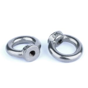 DIN582 304 Stainless Steel M8 M10 M12 Lifting Eye Nut