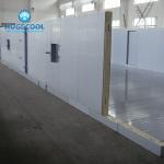 Assembled COLDROOM21 Customized Size Cold Storage Freezer/Chiller Room with